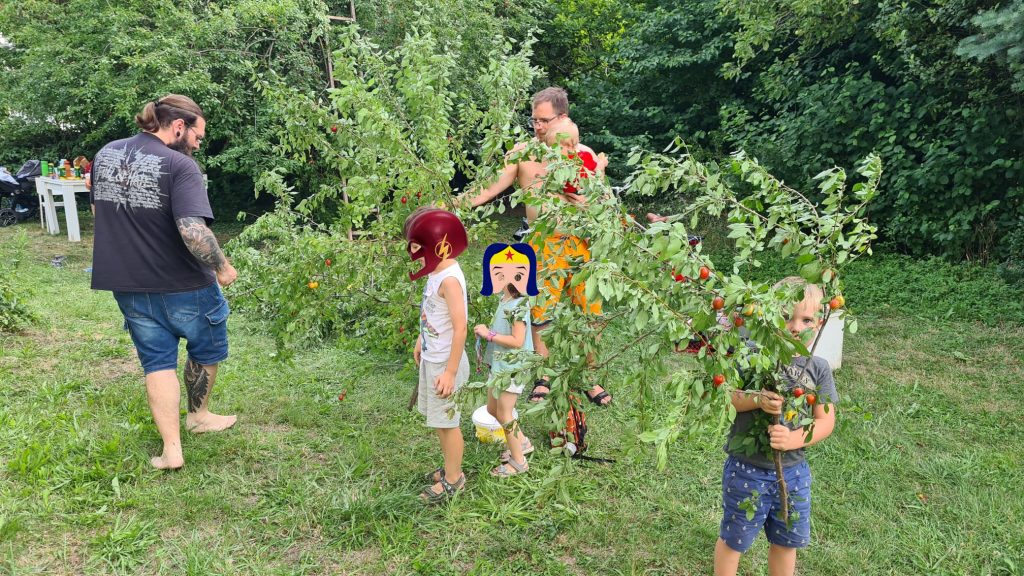 Kinder beim Kriecherlernten von herabgeschnittenen Ästen